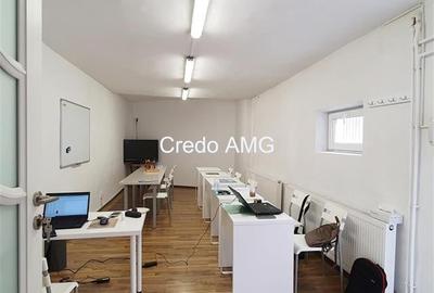 Stefan cel Mare, Vasile Lascar, inchiriere vila singur curte - 4