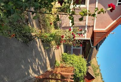 Casă cu 3 camere cu Teren 1600 Mp în Zau de Câmpie - 5