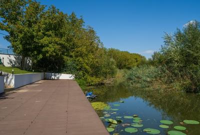 Casă individuală cu 4 camere cu Teren 580 Mp în Snagov - 19