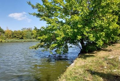 Teren superb direct la lac în București - 13