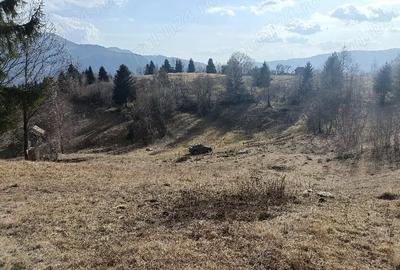 Teren de 3200 mp, în Dâmbovicioara