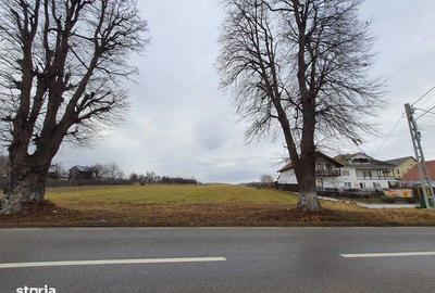 Teren de 7000 mp, în Agapia - 5