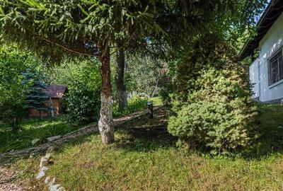 Vila Exclusivista Drumul Poienii / Pretabil Regim Hotelier - 5