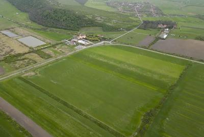 Teren extravilan de 22500mp Zona Ineu - 6