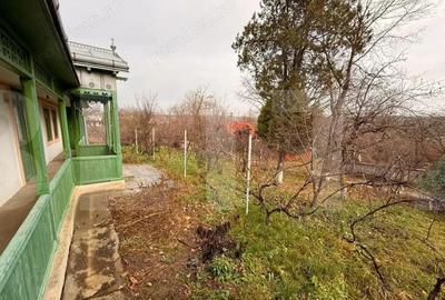 Casa Soroceni 2300mp - 12