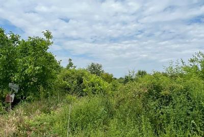 Spațiu comercial, în Central - 2