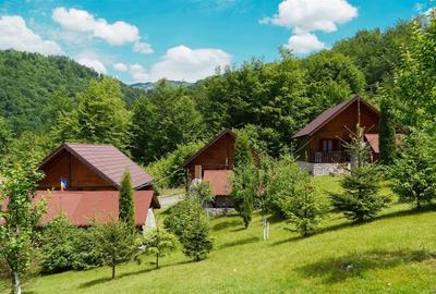 4 cabanute din lemn,Boga,Parc Natural Apuseni,Bihor - 1