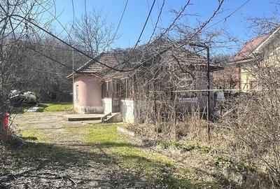 Casă cu 3 camere cu Teren 2173 Mp în Prundeni - 1
