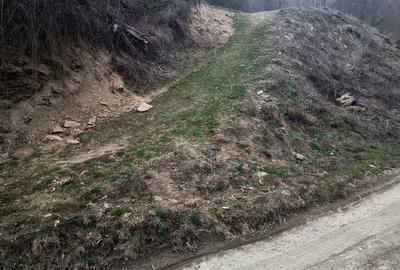 Teren de 2700 mp, în Exterior Vest - 7