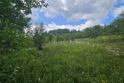 Teren agricol intravilan de 2300 mp, în Valea Doftanei - 3