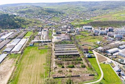 Teren Industrial 3Ha si Hala 1000mp de Vanzare in Tomesti - IASI - 5