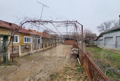 Casa batraneasca pe un singur nivel , 1700 mp teren, Bradest Casa batraneasca pe un singur nivel , 1700 mp teren, Bradest - 2