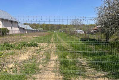 Teren de 1500 mp, în Ordoreanu - 5