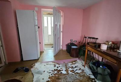 Casa cu teren 1405 mp la Sambateni - 1