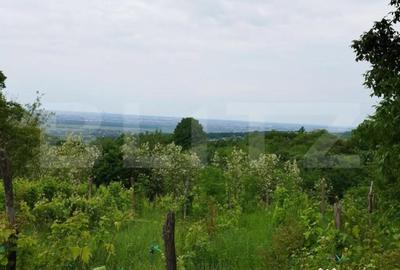 Casă cu 7 camere cu Teren 6700 Mp în Central - 8