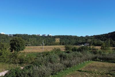 Teren 1594 mp intravilan - Suceava - Scheia! - 3