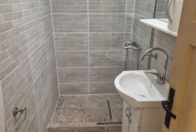 Apartament cu 2 camere semidecomandat în Floreasca - 9