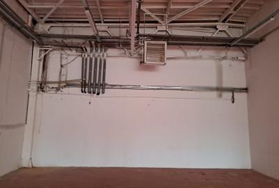 Spatiu ideal Cash&Carry Afumati - 15