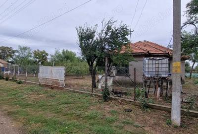 Casă cu 3 camere cu Teren 4284 Mp în Heliade Rădulescu - 3