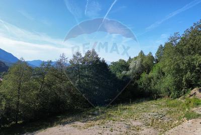 Teren 5,174mp Bran / Strada Colibasilor la 800 m de centrul Branului - 8