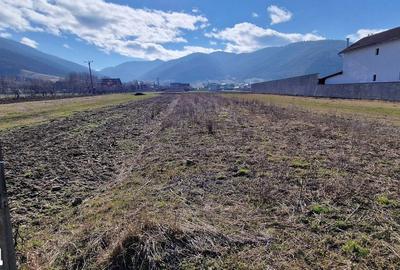 Teren de 1450 mp, în Gura Râului - 3