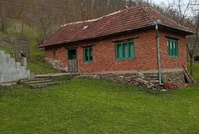 Casă cu 4 camere în Poieni (Densuș) - 2