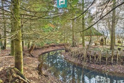 Casă P+E+M cu teren 8163 mp – Roșia Nouă (Petriș) - 11