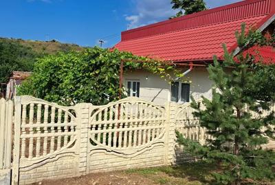 Casă cu 4 camere în Topliceni - 1