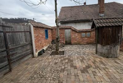 Casă cu 2 camere în Saschiz - 1