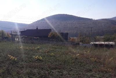 Teren de 1500 mp, în Telița - 3