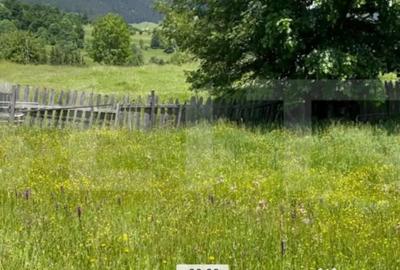 Teren de 1346 mp, în Colibița