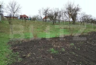 Teren de 3000 mp, în Călărași - 3