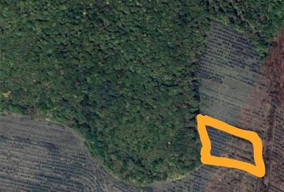 Teren de 11600 mp, în Baciu - 3