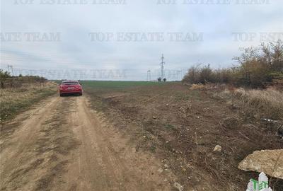 Teren 17500mp pentru investitie Autostrada A1/Parc Logistic Chiajna - 4