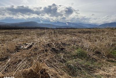 Teren de 7000 mp, în Central