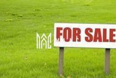 BLACK FRIDAY I Teren Intravilan I Autorizatie I Lupeni - 2