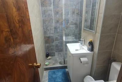 Ap. 4 cam. dec. Stirbei Voda - 6