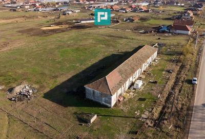 Hală industrială cu teren generos în Zărand, Arad - 43