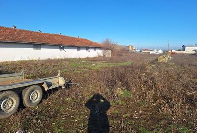 Teren de 6285 mp, în Tărian - 4
