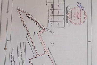 Spațiu comercial, în Bran - 5