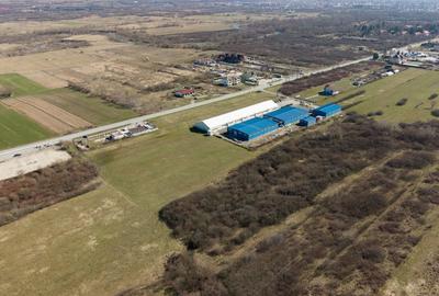 Teren agricol extravilan de 7194 mp, în Păltiniș - 12