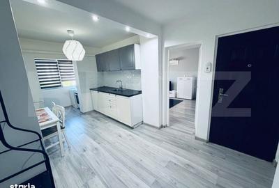 Apartament cu 2 camere decomandat în Lăpuș Argeș - 3