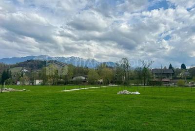 Teren de 1000 mp, în Moieciu - 3