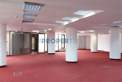 Birou, de 830 mp, în Titulescu - 8