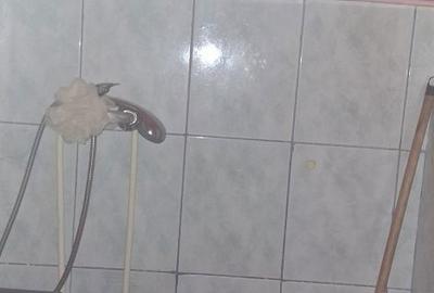 Garsonieră în Fortuna
