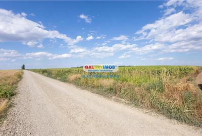 Teren agricol extravilan 2.6 ha - 26.000 mp - Valcelele, Buzau - 13