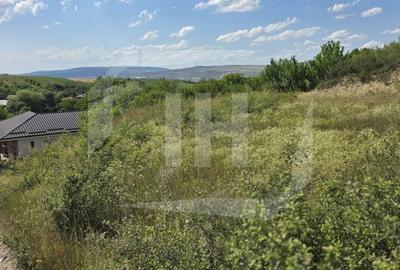 Teren intravilan, 959 mp, Dezmir