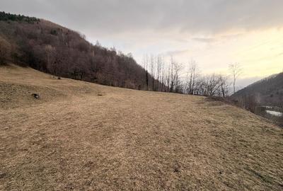 Spațiu comercial, în Baru - 1