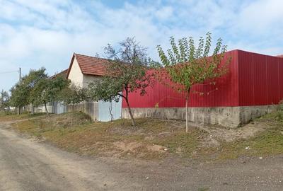 Casă cu 3 camere în Cutina - 1