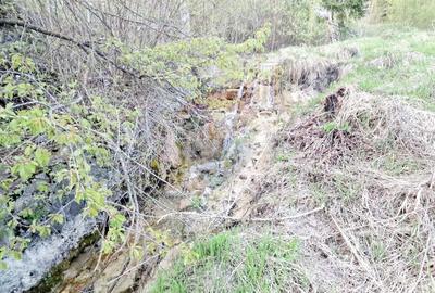 Teren Construcții intravilan de 941 mp, în Hangu - 26